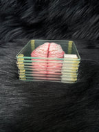 *Modern* Glass Anatomical Brain Slide Set of 10 Coasters