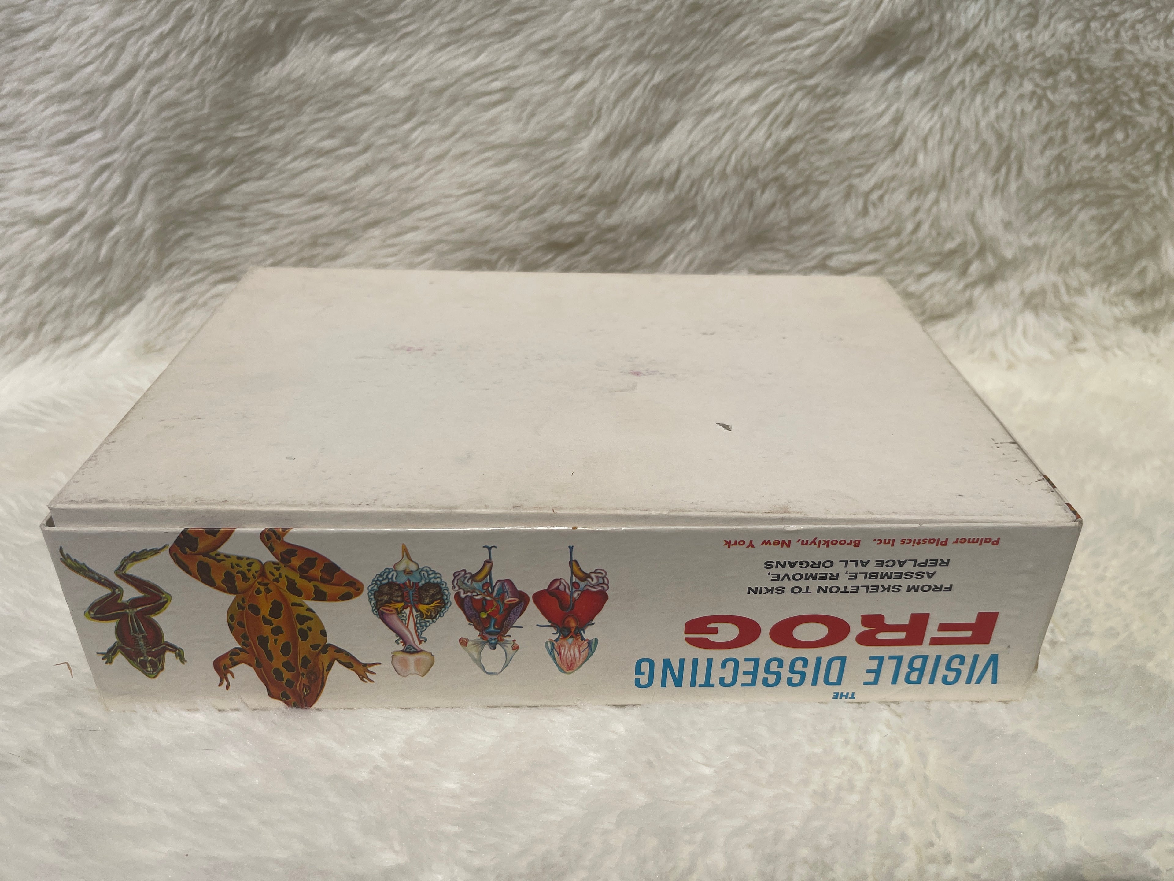 Vintage "Visible Dissection" Leopard Frog Assembly Kit