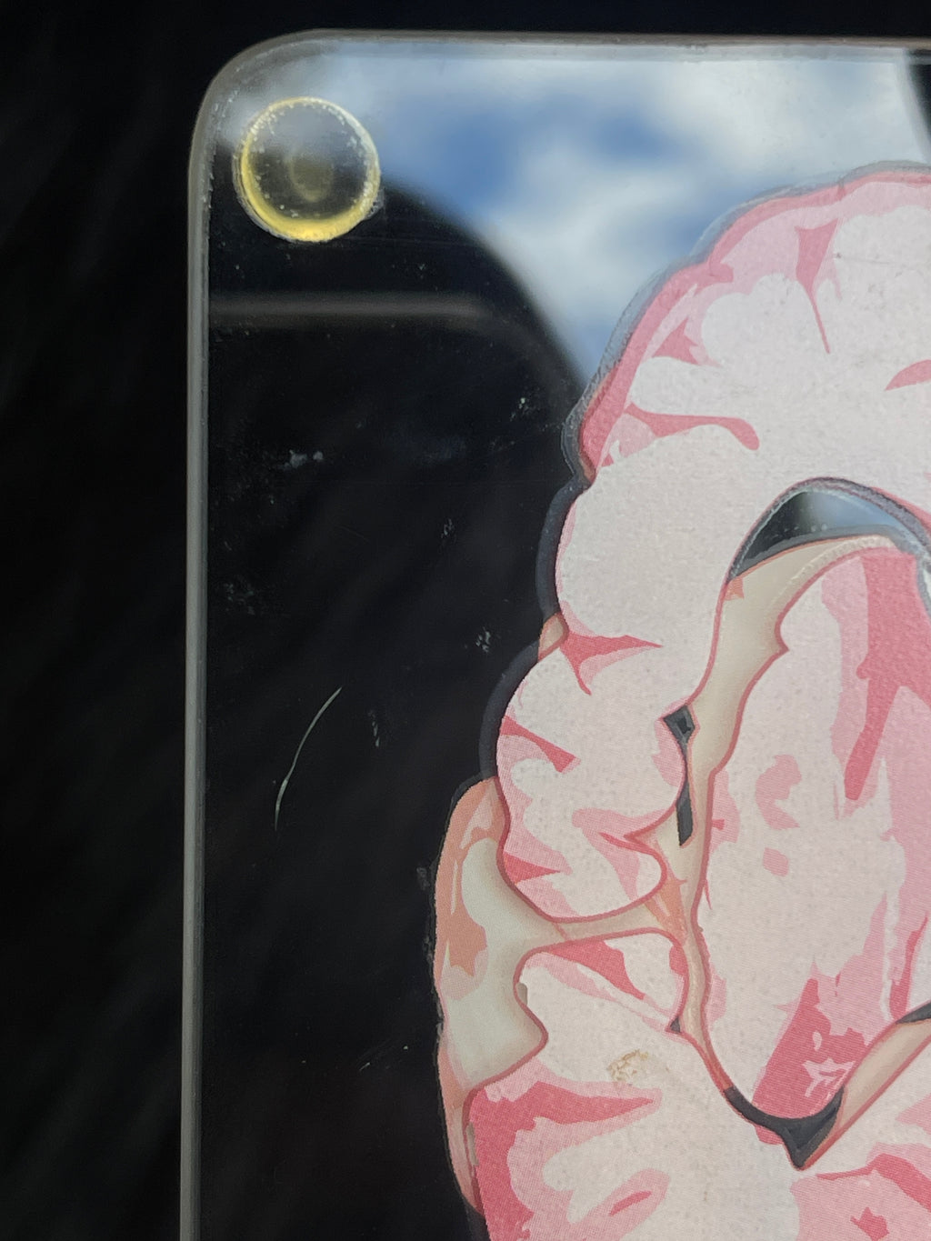 *Modern* Glass Anatomical Brain Slide Set of 10 Coasters