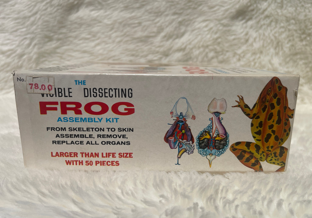 Vintage "Visible Dissection" Leopard Frog Assembly Kit