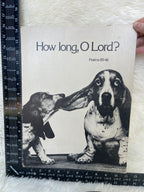 Vintage 1973 Basset Hound Dog Funny Hanging / Standing Picture