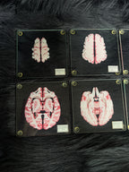 *Modern* Glass Anatomical Brain Slide Set of 10 Coasters