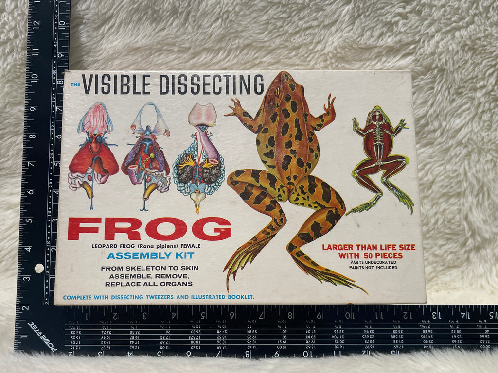 Vintage "Visible Dissection" Leopard Frog Assembly Kit