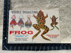 Vintage "Visible Dissection" Leopard Frog Assembly Kit