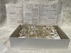 Vintage "Visible Dissection" Leopard Frog Assembly Kit