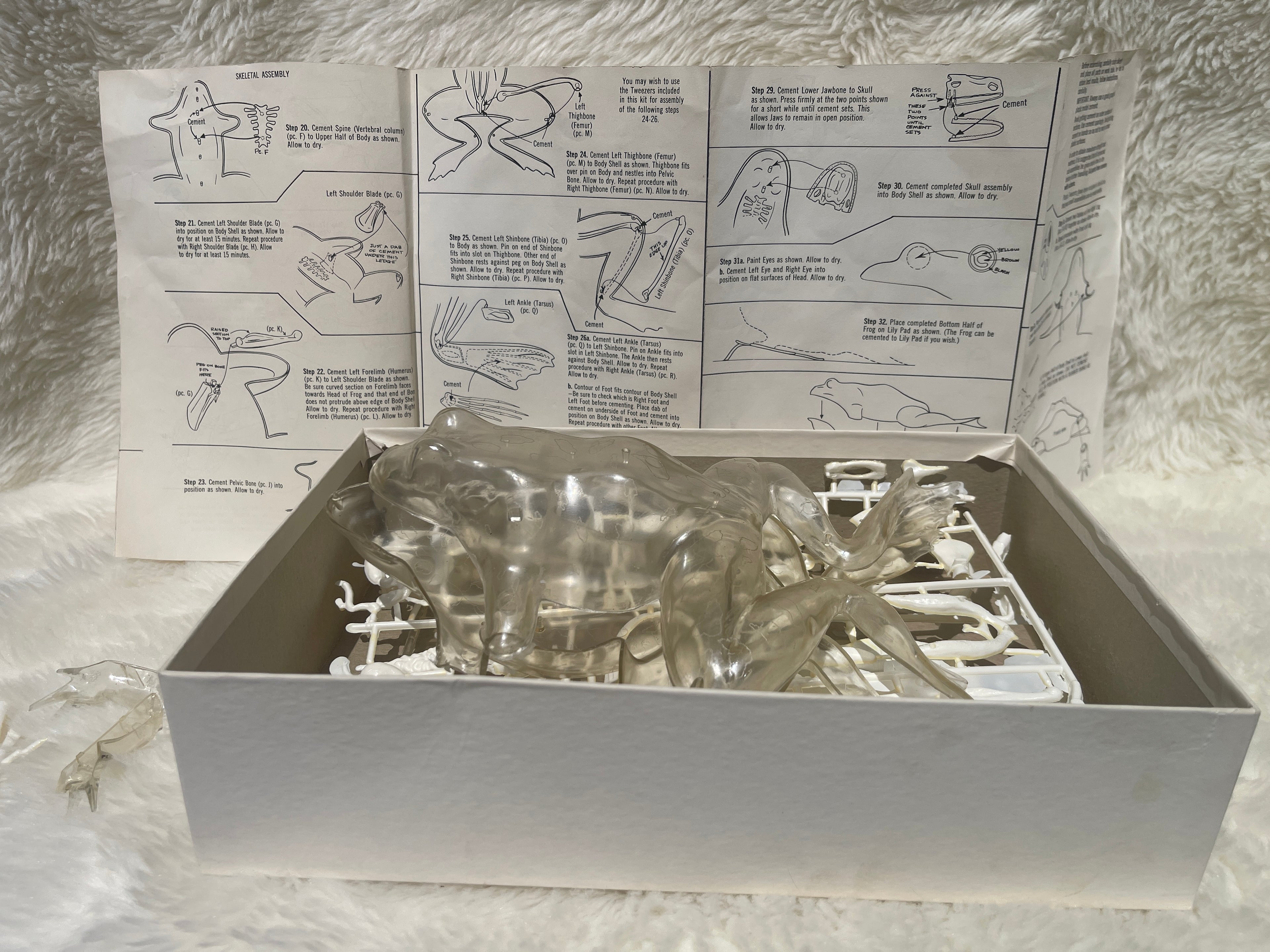 Vintage "Visible Dissection" Leopard Frog Assembly Kit