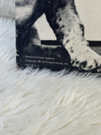 Vintage 1973 Basset Hound Dog Funny Hanging / Standing Picture
