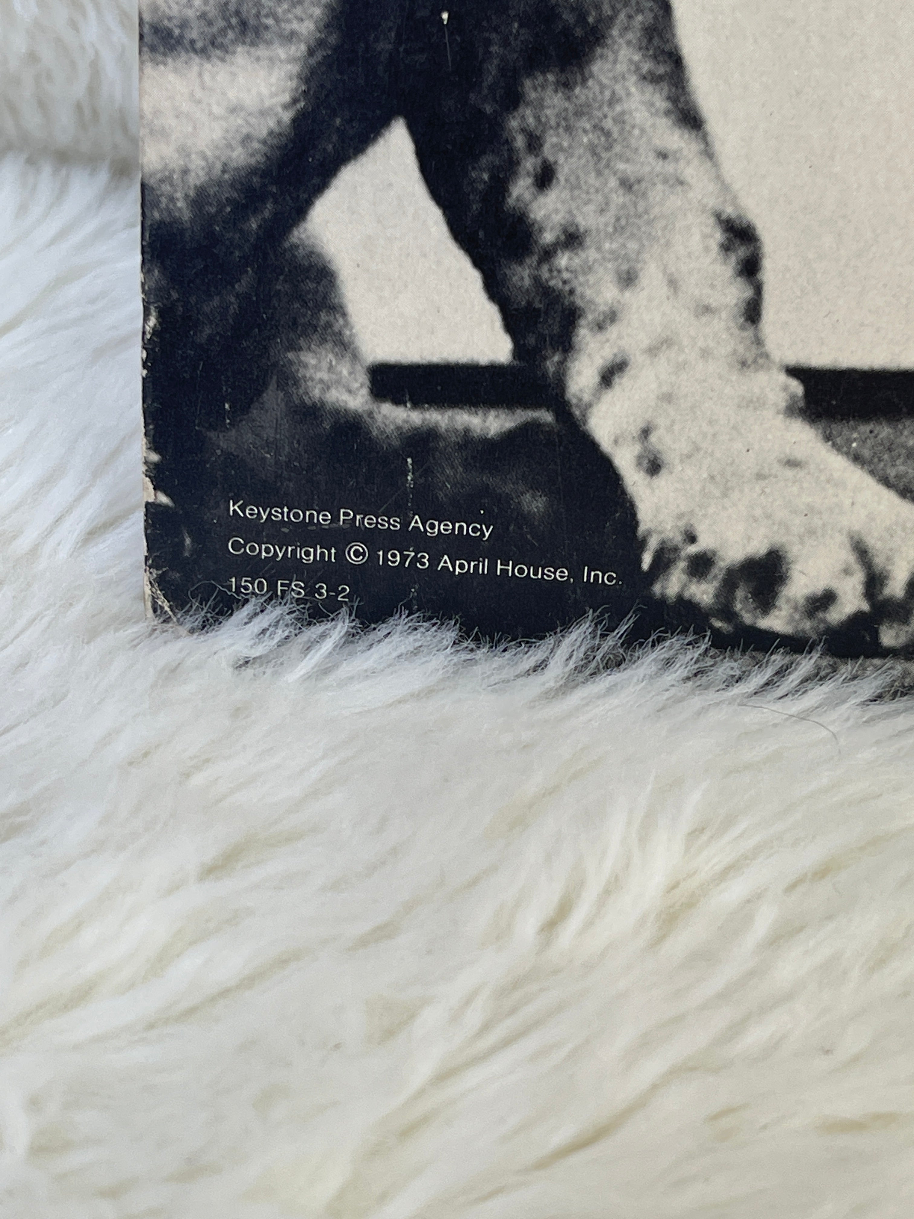Vintage 1973 Basset Hound Dog Funny Hanging / Standing Picture